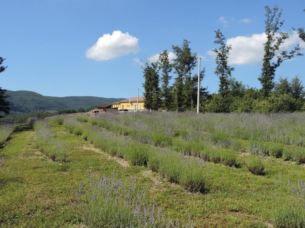 Вилла Societa Agricola Cacigolara Борго-Валь-ди-Таро Экстерьер фото
