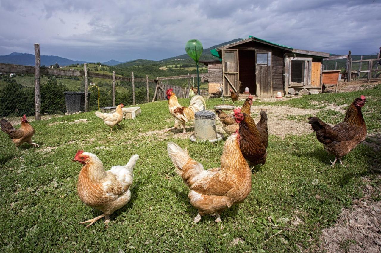 Вилла Societa Agricola Cacigolara Борго-Валь-ди-Таро Экстерьер фото